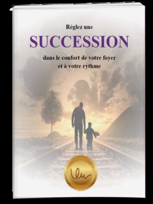 cover image of Aide-mémoire Succession